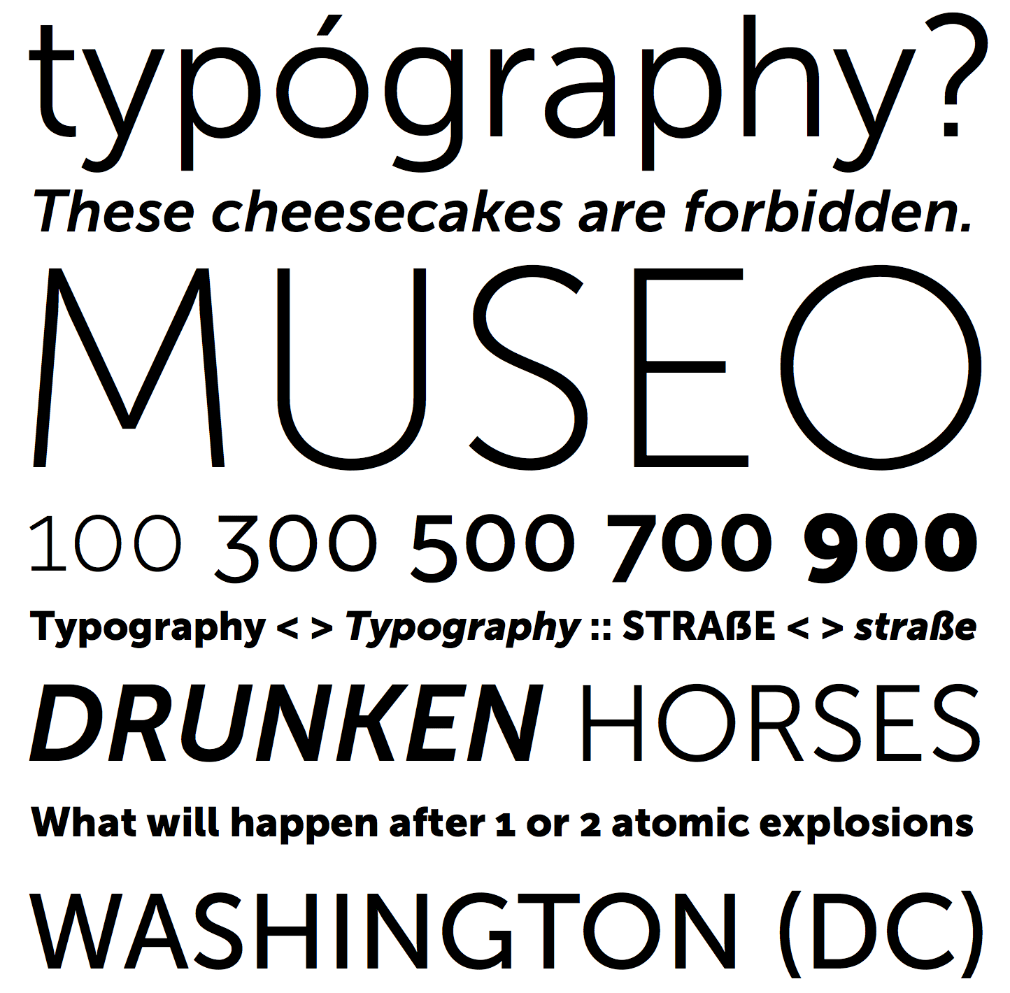 Museo sans font family