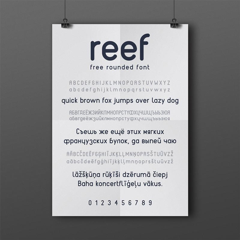 reef-cyr-2
